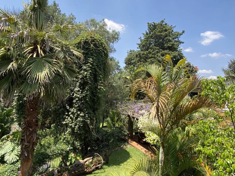 Manor on Lower Kabete - Terrace